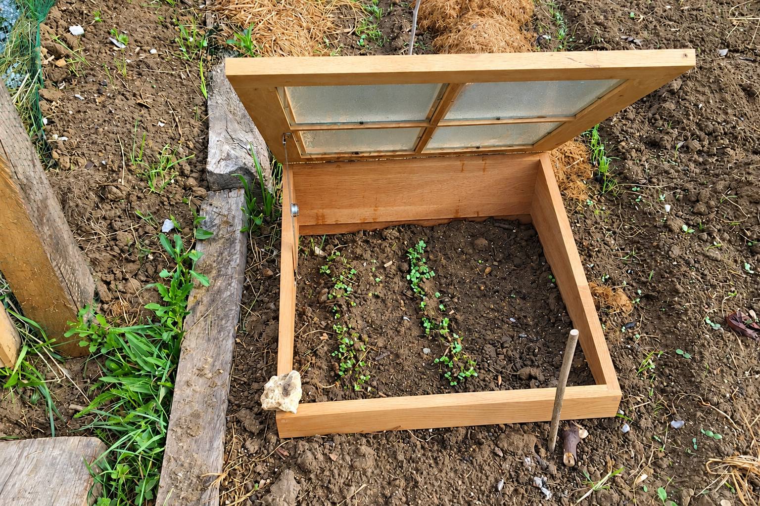 Un châssis de jardin en bois clair au couvercle vitré relevé, posé dans la terre d'un potager, abrite deux rangs de jeunes pousses.