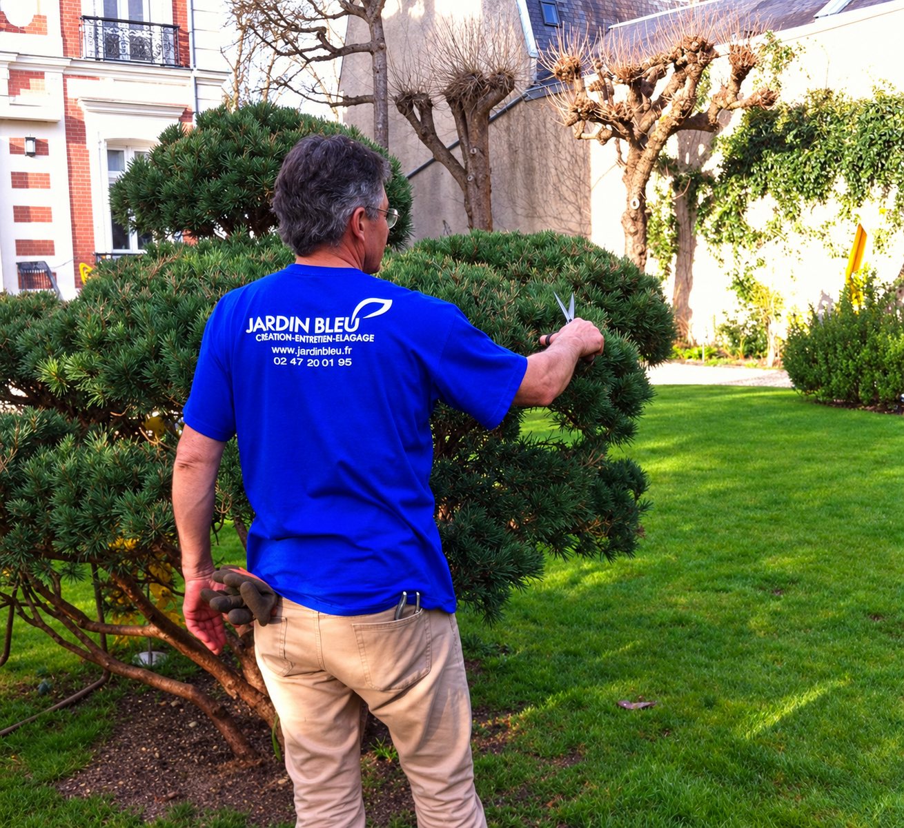 Jardinier en tee-shirt bleu Jardin Bleu, vu de dos, taillant un pin en nuage à la cisaille dans un jardin avec pelouse.