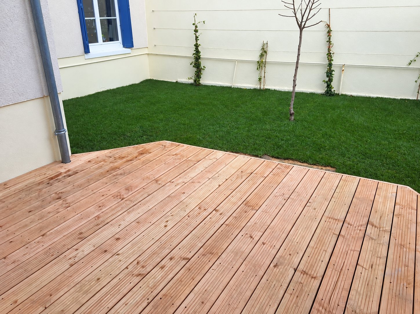 Une terrasse en lames de bois fraîchement posée donne sur une pelouse verte, un jeune arbre et un mur clair, à côté d'une maison aux volets bleus.