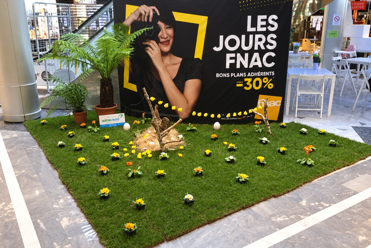 Pelouse en plaques posée dans la galerie nationale de Tours avec primevères jaunes et blanches, coq en bois et poussins pour les festivités de Pâques.